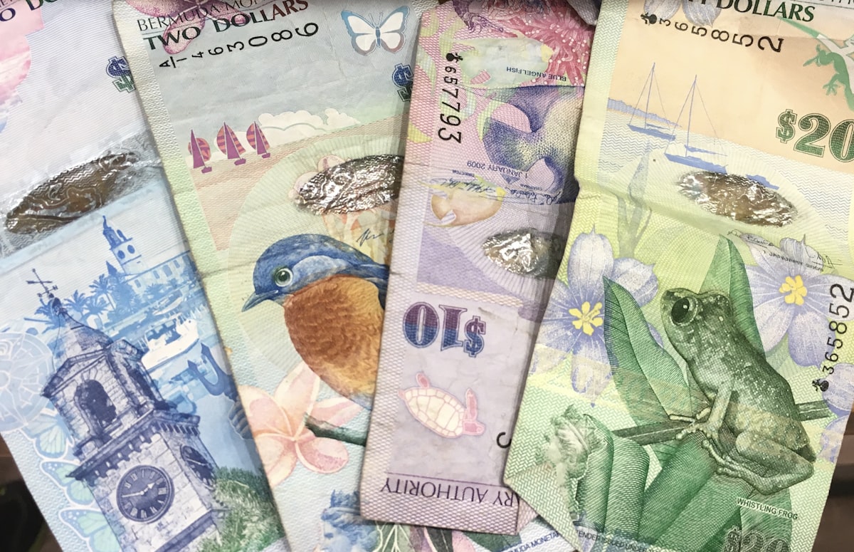 Assorted foreign currency banknotes spread out